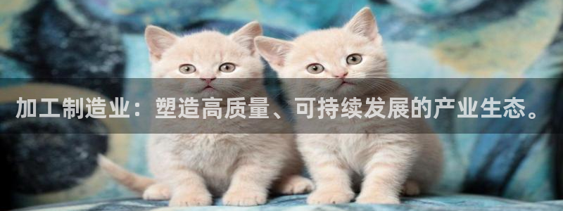 彩神VII购彩中心：加工制造业：塑造高质量、可持续发展的产业