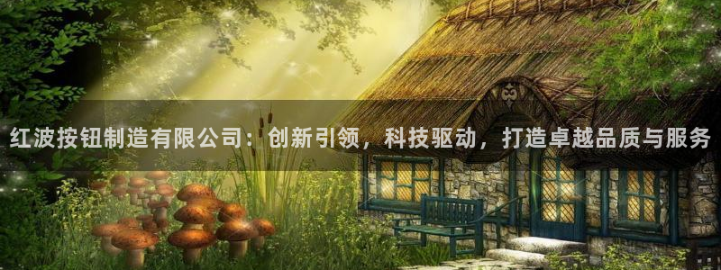 彩神vip购彩大厅在哪：红波按钮制造有限公司：创新引领，科技驱动，打造卓越品质与服务