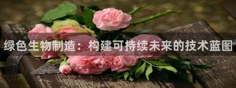 新版彩神v8登录不上去：绿色生物制造：构建可持续未来的技术蓝图