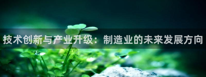 彩神v8首页：技术创新与产业升级：制造业的未来发展方向