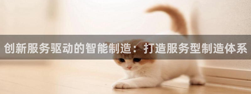 彩神是怎样一个平台赚钱的：创新服务驱动的智能制造：打造服务型制造体系