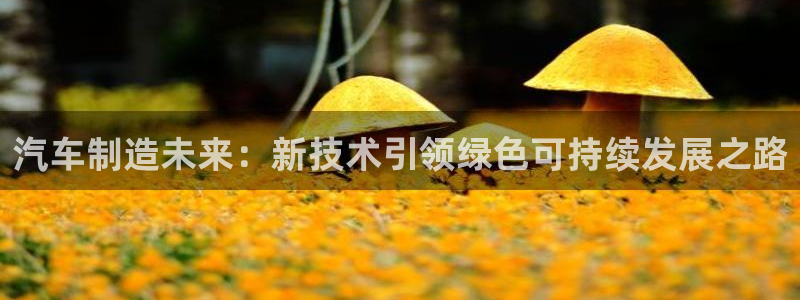 彩神v彩搜狗：汽车制造未来：新技术引领绿色可持续发展之路