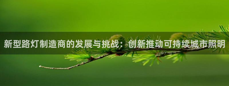 彩神viii是正规平台吗?：新型路灯制造商的发展与挑战：创新推动可持续城市照明