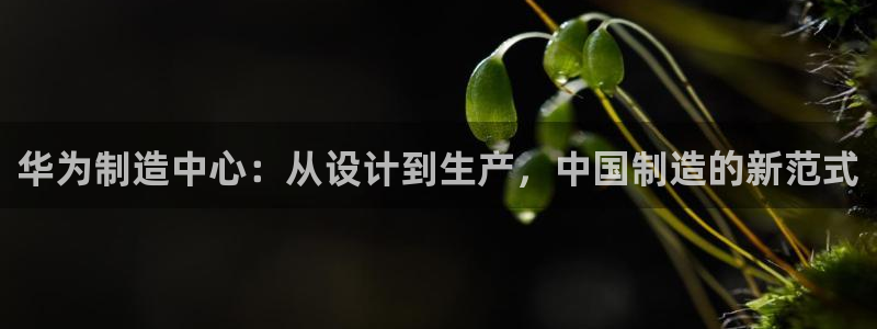 彩神8官网500：华为制造中心：从设计到生产，中国制造的新范式