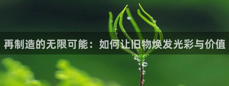 彩神大发如何观察走势：再制造的无限可能：如何让旧物焕发光彩与价值