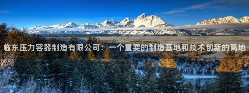 彩神vllⅰ购彩大厅：临东压力容器制造有限公司：一个重要的制造基地和技术创新的高地