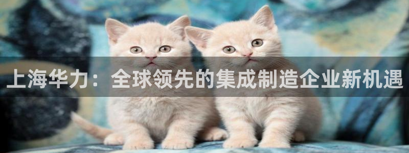 彩神8彩平台官网：上海华力：全球领先的集成制造企业新机遇