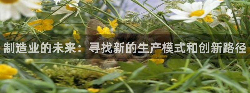 新版彩神v8登录不上去：制造业的未来：寻找新的生产模式和创新