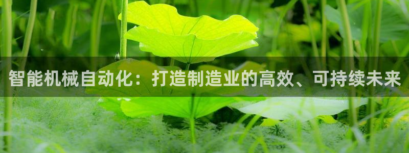 彩神vll趣投彩：智能机械自动化：打造制造业的高效、可持续未