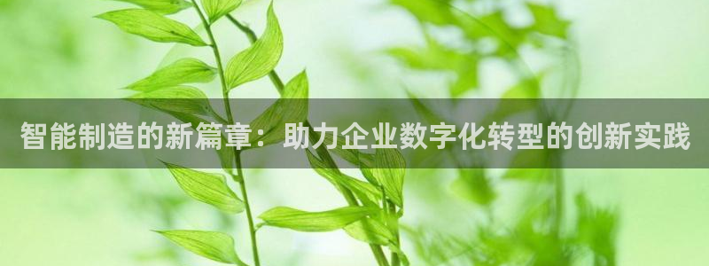 彩神vll趣投彩：智能制造的新篇章：助力企业数字化转型的创新实践