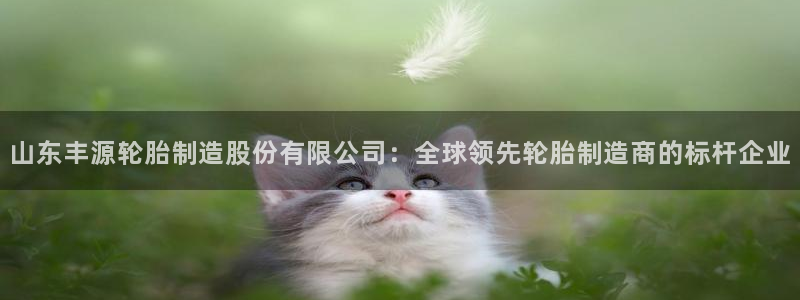 新版彩神v8登录：山东丰源轮胎制造股份有限公司：全球领先轮胎制造商的标杆企业