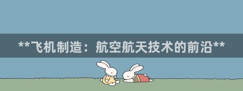 彩神v8是一个什么平台游戏：**飞机制造：航空航天技术的前沿**